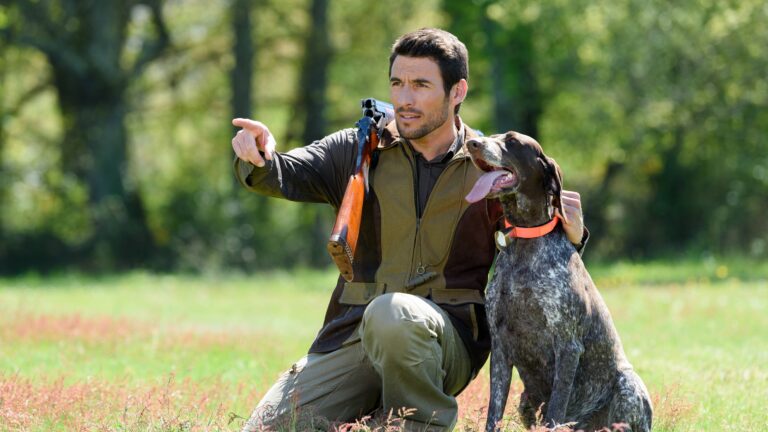 Le permis de chasse en 2025 : tout savoir pour l’obtenir, le valider et connaître son prix