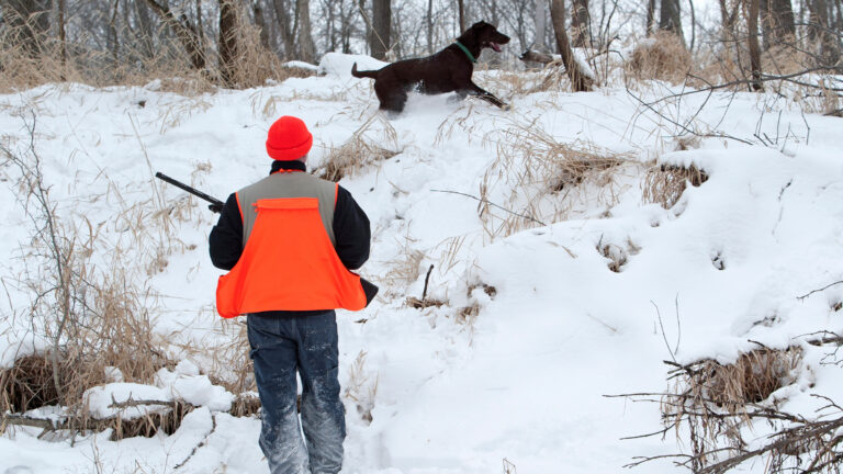 Quel est le prix du permis de chasse ? Coûts, démarches et validations