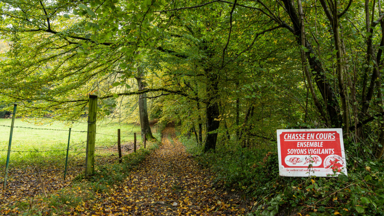 Quels sont les horaires de chasse ?