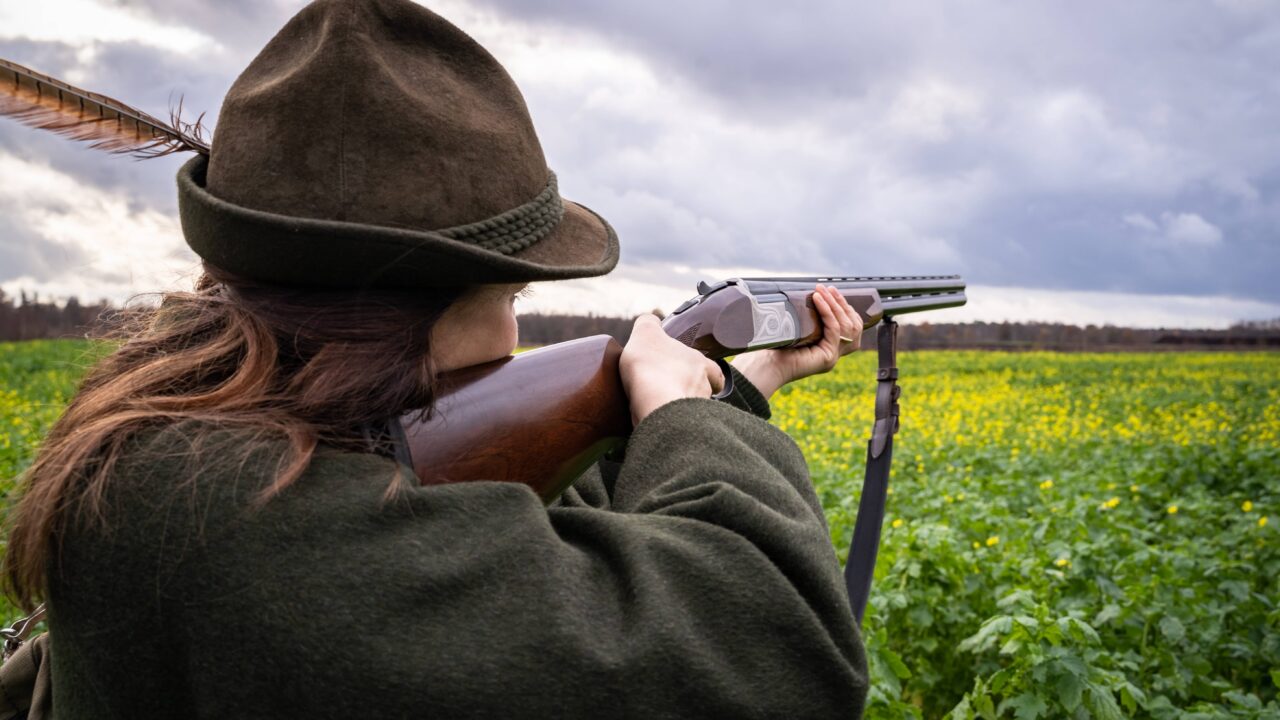 À qui sont les forêts et champs où se pratique la chasse ?