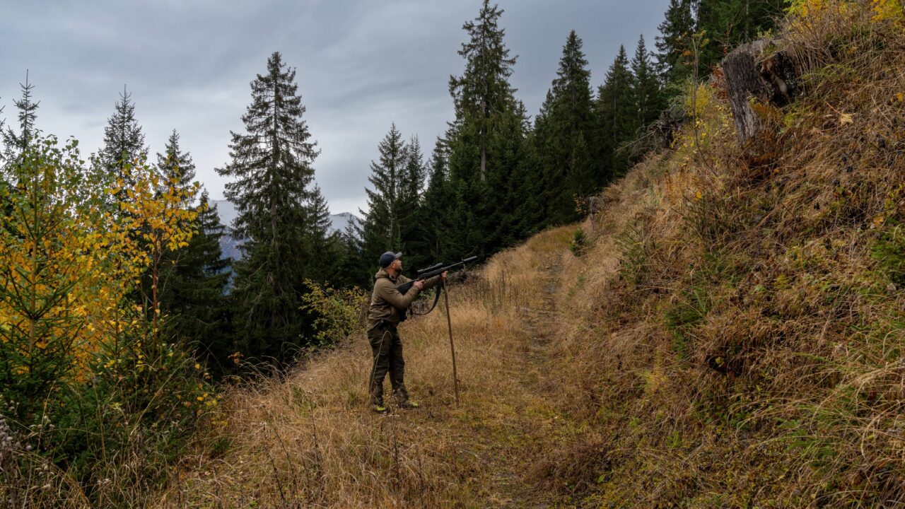 Comment devenir chasseur en Suisse ?