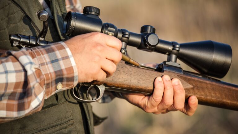 Quelles sont les nouvelles règles de chasse en 2023 ?