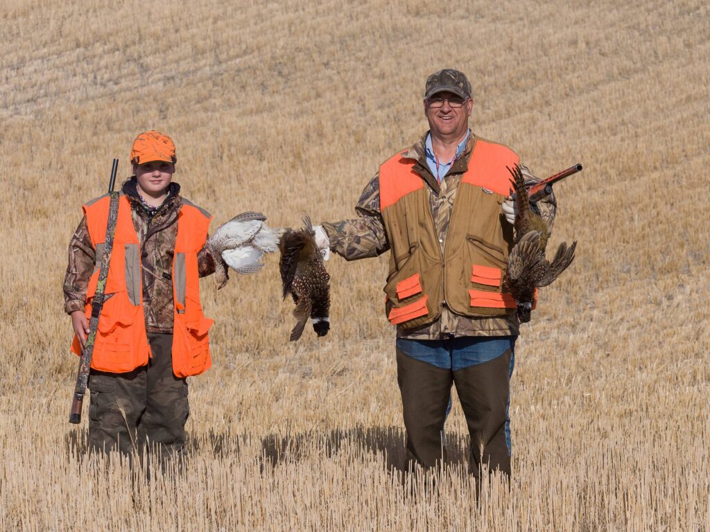 Chasser accompagné dès 15 ans : comment ça marche ?
