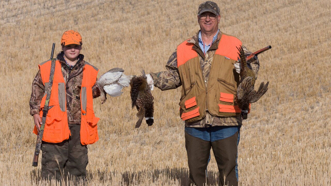 Chasser accompagné dès 15 ans : comment ça marche ?