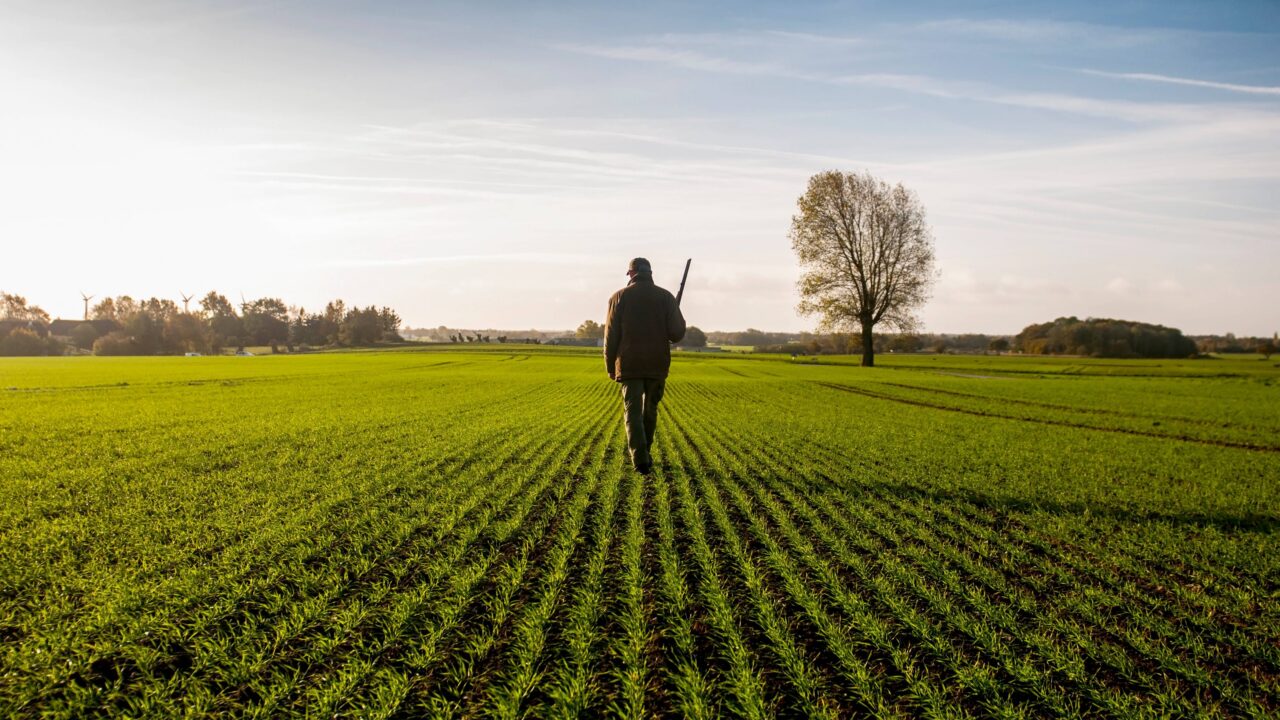 Comment obtenir une carte de chasse en 2025 ?