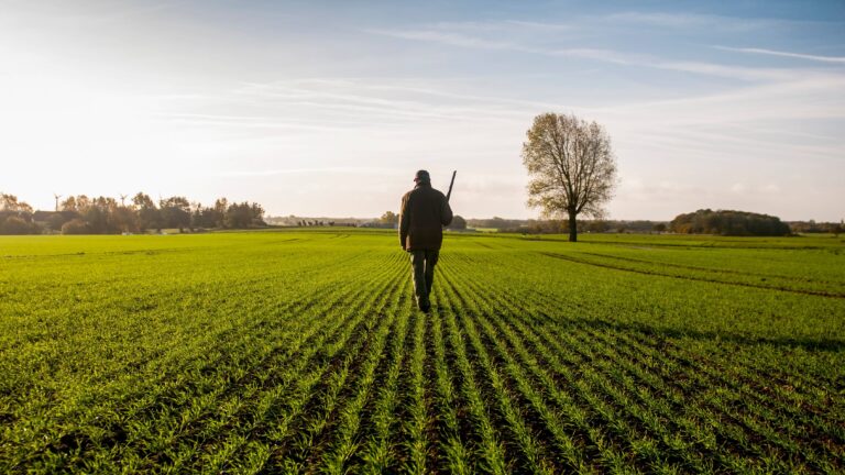 Comment obtenir une carte de chasse en 2025 ?