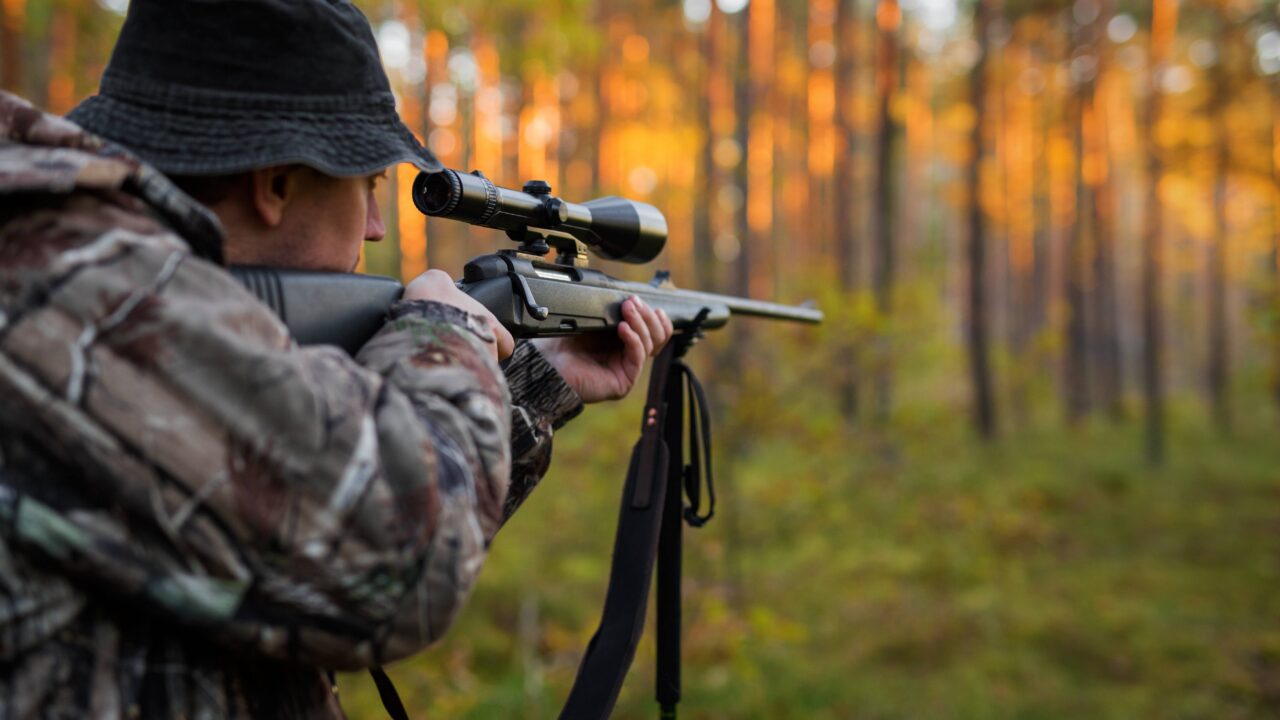 Quelle est la météo idéale pour chasser à l’approche ?