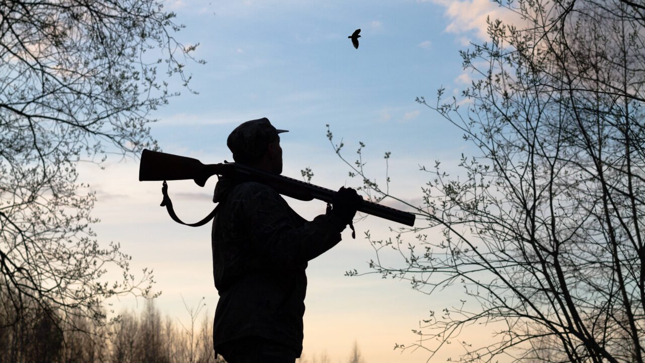 Quel est le prix du permis de chasse en 2025 ?