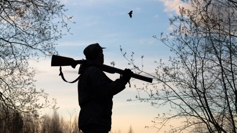 Quel est le prix du permis de chasse en 2025 ?