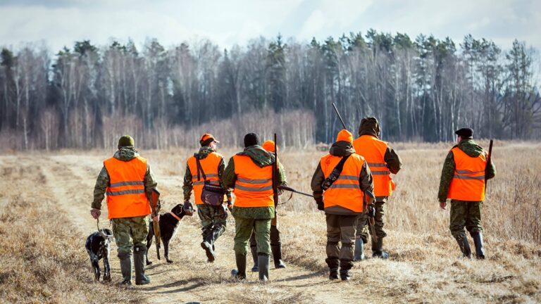A quoi sert les fédération des chasseurs ?