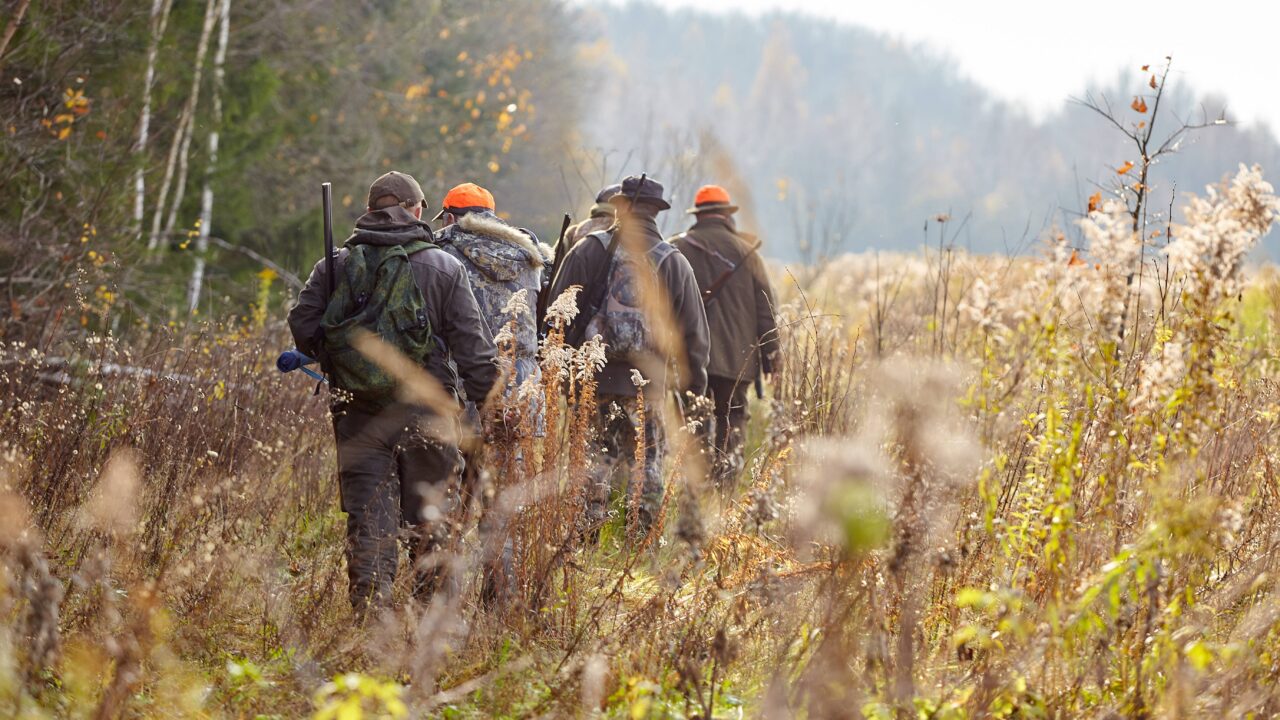 Quelle est l’adresse de la federation nationale des chasseurs ?