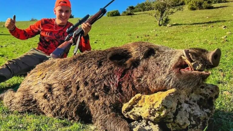 Permis de chasse : y a-t-il des réductions pour les jeunes chasseurs?