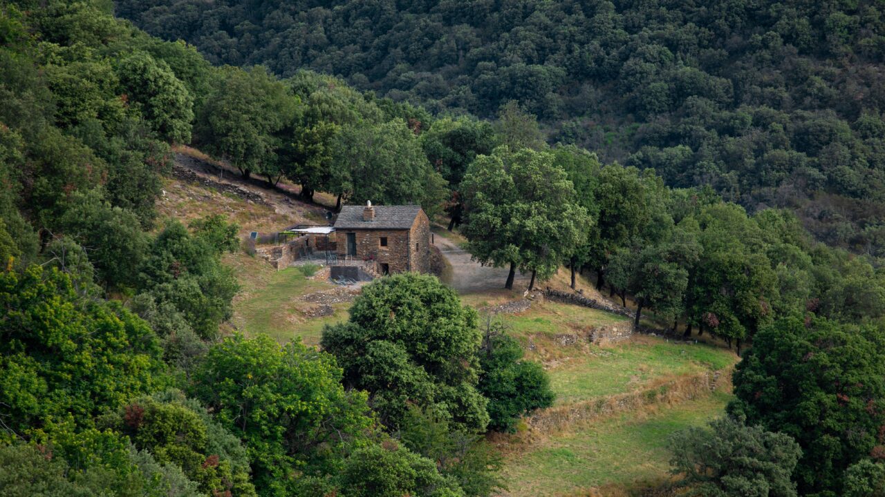 Chasse: Comment savoir où je peux chasser autour de chez moi?