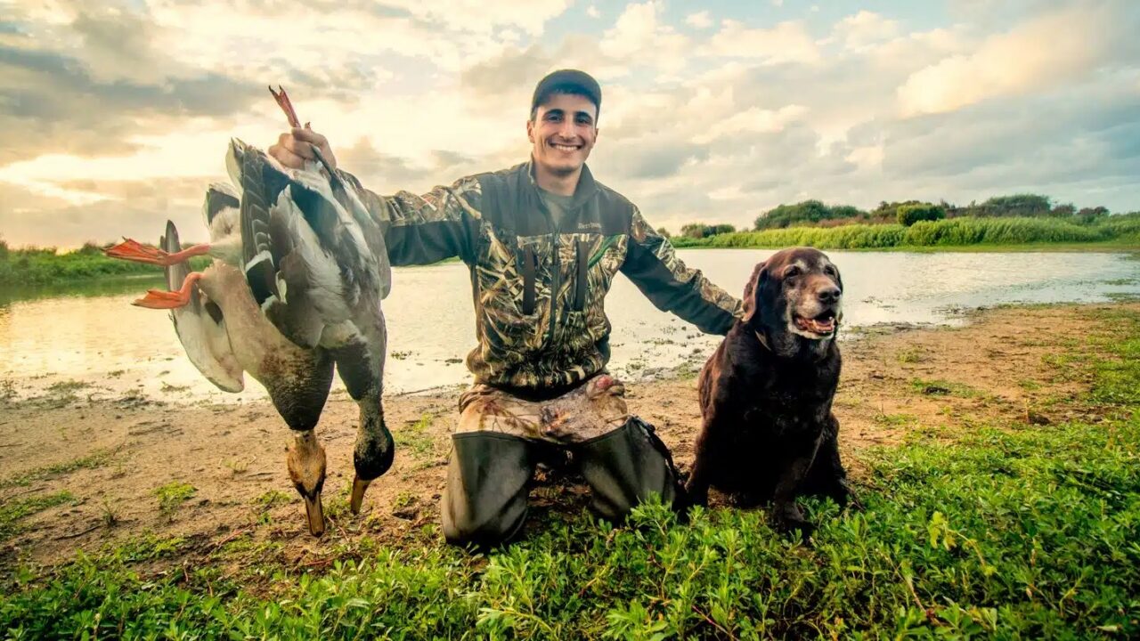 Quelles sont les vidéos de chasse populaires en France?