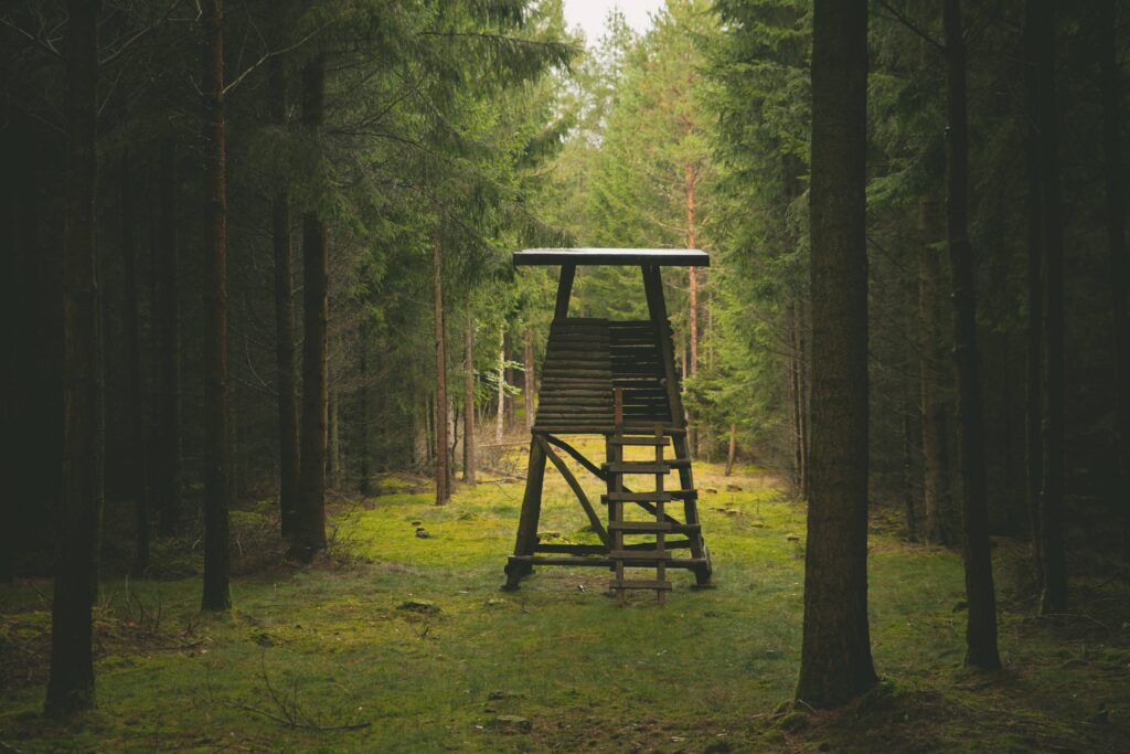 Chasse en Allemagne : un pays de traditions en pleine mutation