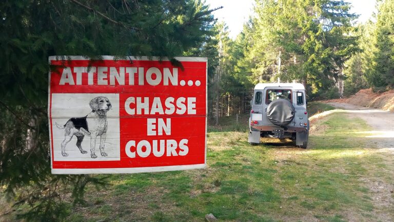 Quels sont les horaires de chasse le dimanche ?