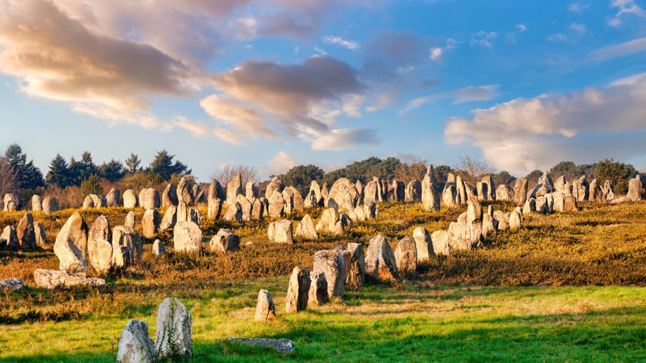 Quelles sont les démarches pour chasser dans le Morbihan ?