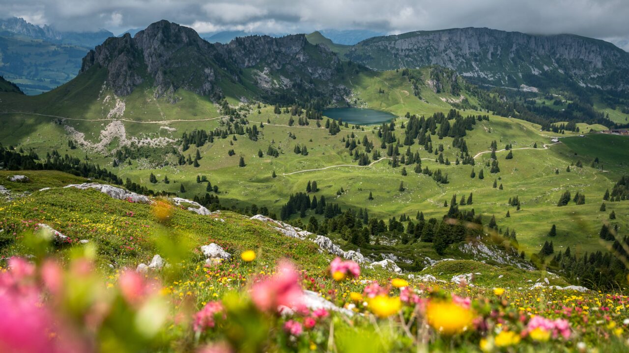 Comment se passe vraiment la chasse en Suisse ?