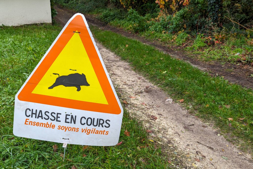 Quelles sont les dates de chasse en cours ?