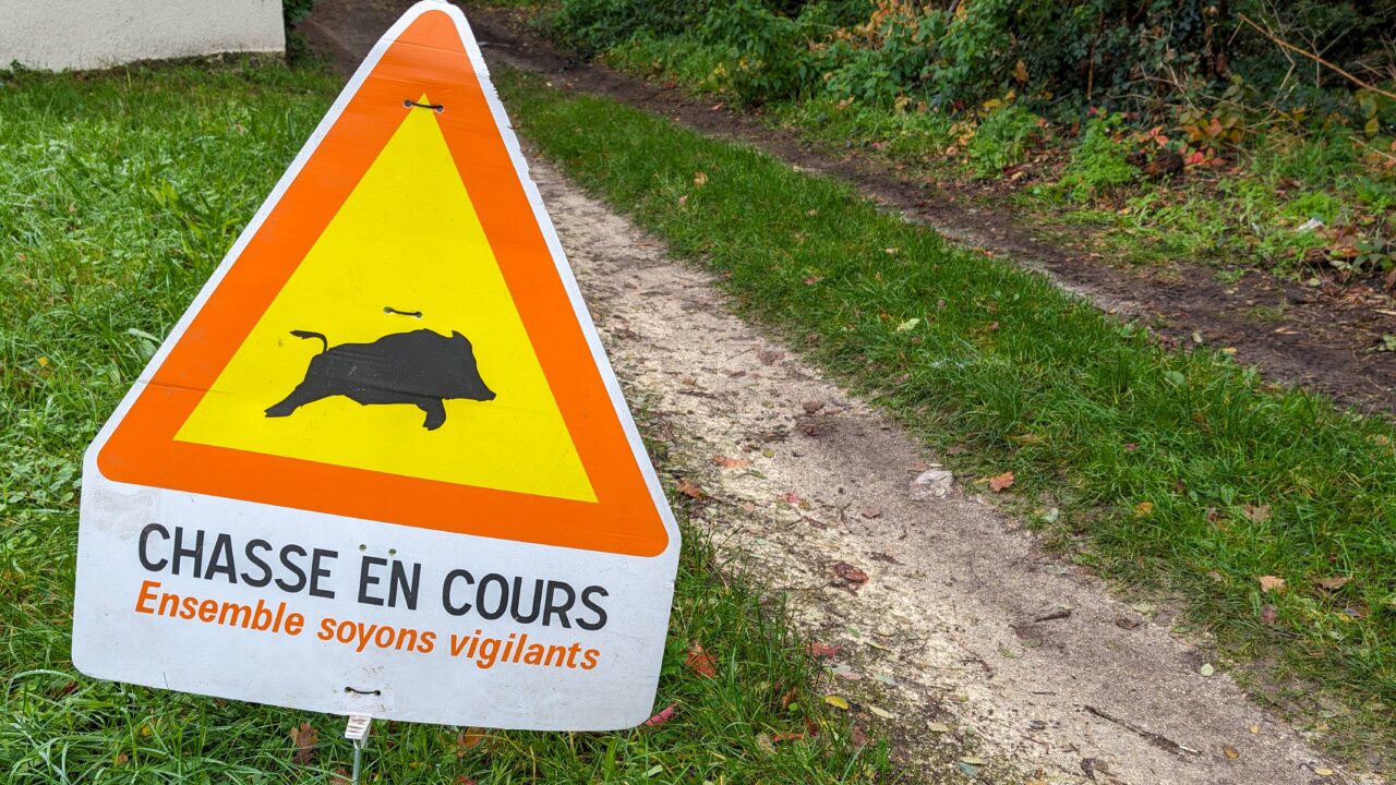 Quelles sont les dates de chasse en cours ?