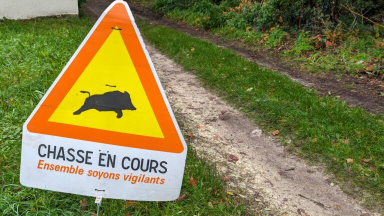 Quelles sont les dates de chasse en cours ?