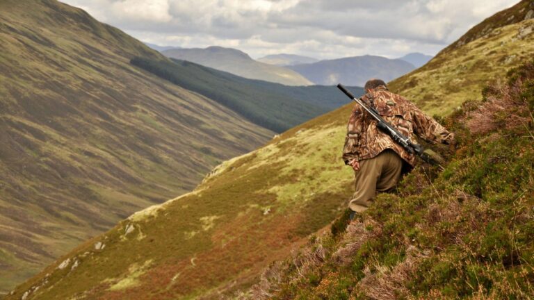 Top 30 des races de chiens idéales pour la chasse au sanglier