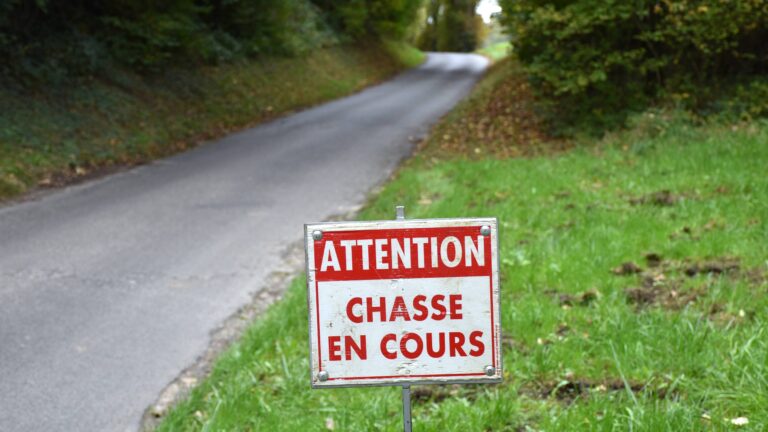 Sécurité à la chasse : où, quand et comment poser les panneaux avant une battue?