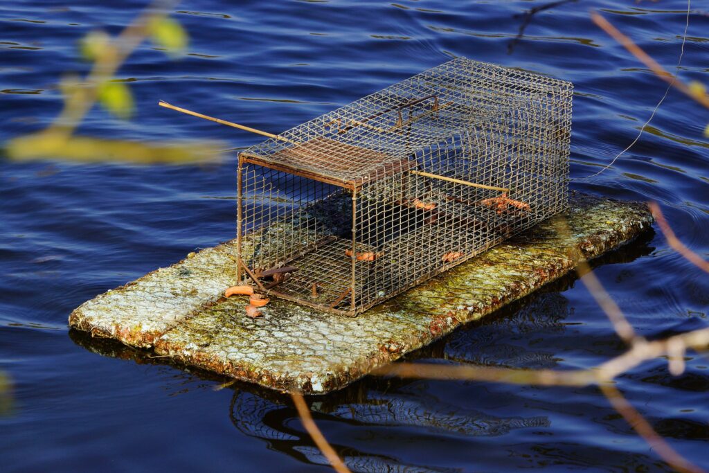 Existe-t-il un permis de piéger en France ?