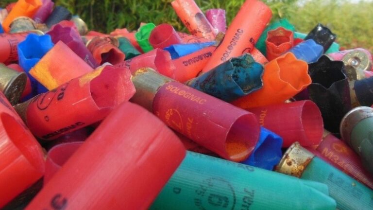 Que faire des vieilles cartouches de chasse ?