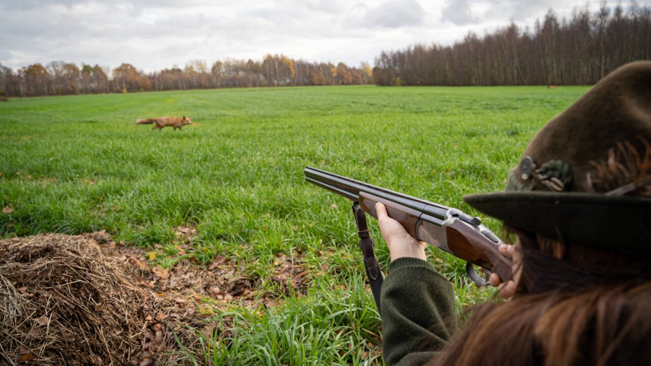 Entraînement au permis de chasser : QCM en ligne, thèmes officiels et réponses