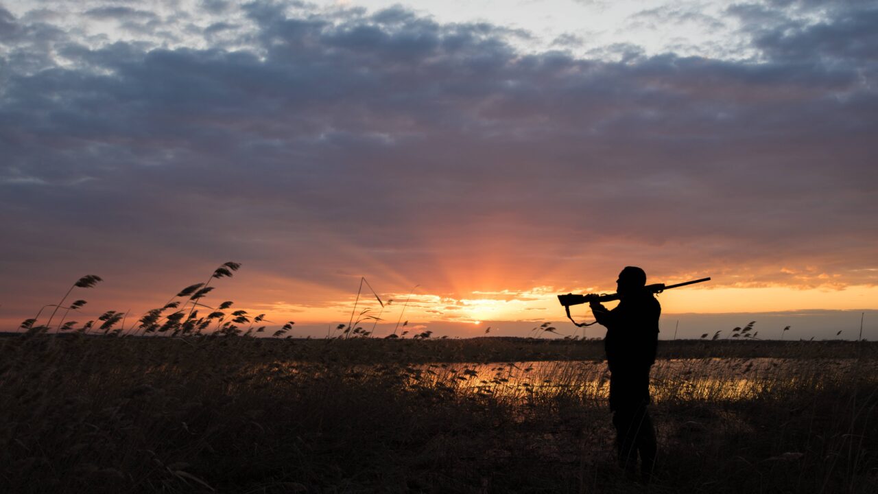 Quels sont les chiffres des accidents de chasse 2024 ?