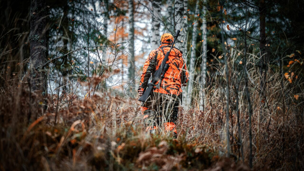 Accidents de chasse 2024-2025 : une saison marquée par un rebond de l’accidentologie