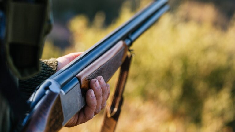 Accident de chasse à Magland : un jeune homme de 24 ans tué lors d’une battue