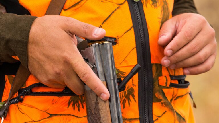 100 questions QCM pour réussir l’épreuve théorique du permis de chasser