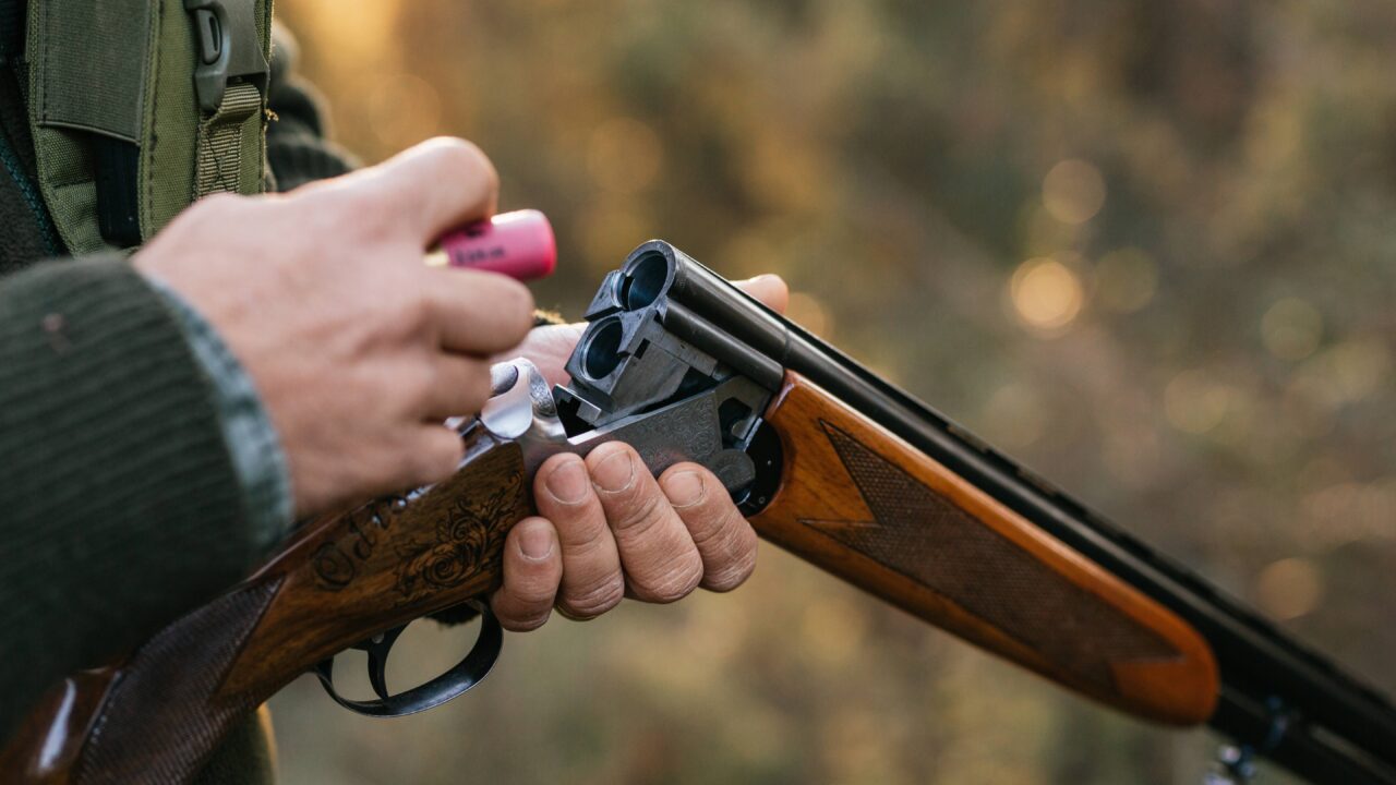 Quels sont les chiffres des accidents de chasse 2025 ?