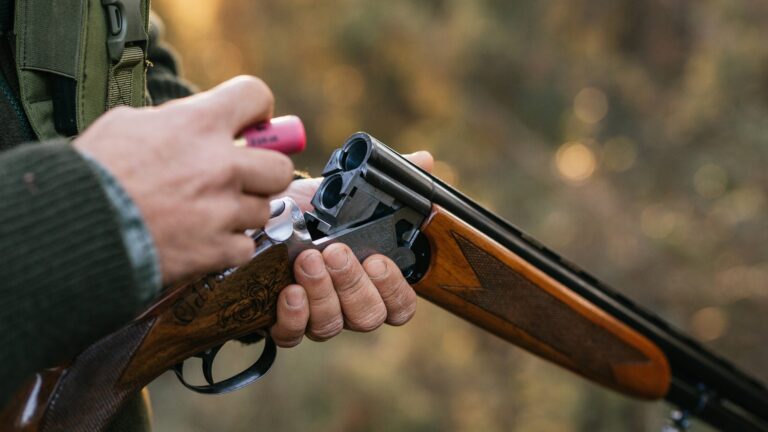 Quels sont les chiffres des accidents de chasse 2025 ?