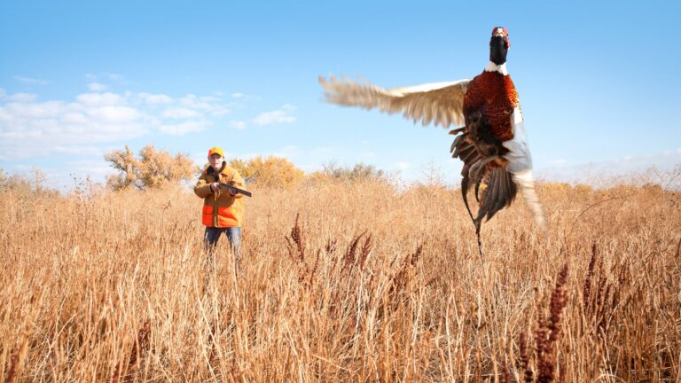 Pourquoi l’assurance chasse est-elle obligatoire?