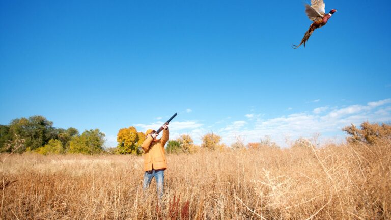 Quelle type de cartouche choisir pour la chasse ?