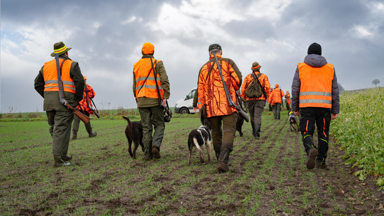 Qui est responsable lors d’un accident de chasse?