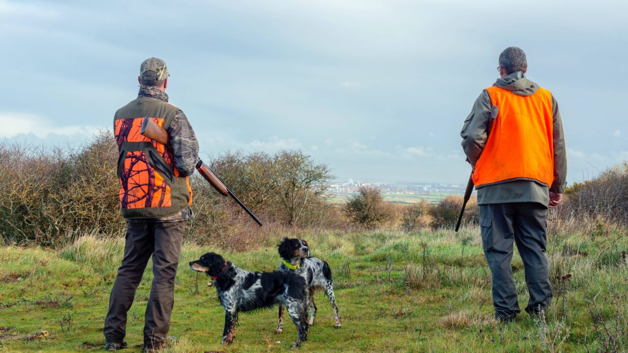 Fusils ou carabines : quelle arme est la plus impliquée dans les accidents de chasse ?