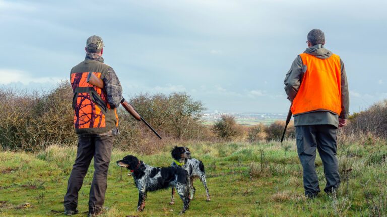 Fusils ou carabines : quelle arme est la plus impliquée dans les accidents de chasse ?