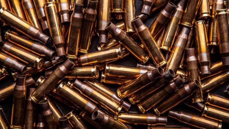 Quand les chasseurs recyclent pour lutter contre la maladie de Lyme