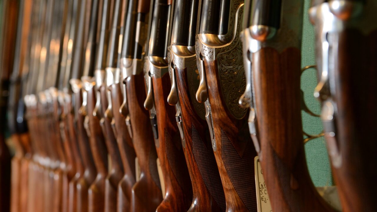 Quels types de fusils existent ?