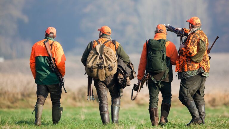 Bilan des accidents de chasse : une baisse historique des accidents mortels en 2023-2024