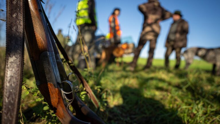 Chasser en battue en toute sécurité : les règles à rappeler au rond