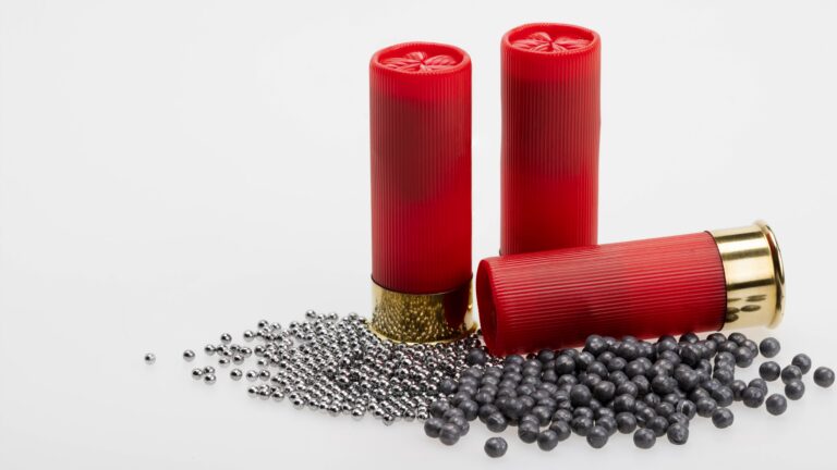 Quel est le diamètre des plombs de chasse ?