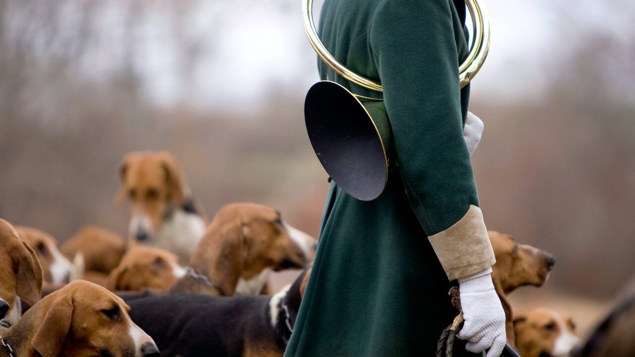 Qu’est ce que la chasse à courre ?