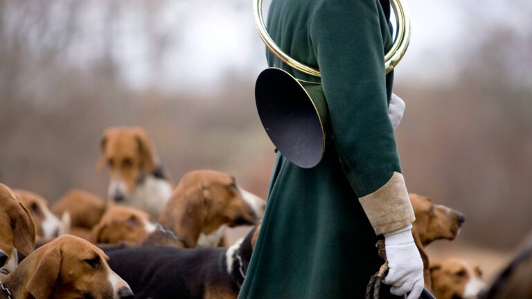Qu’est ce que la chasse à courre ?