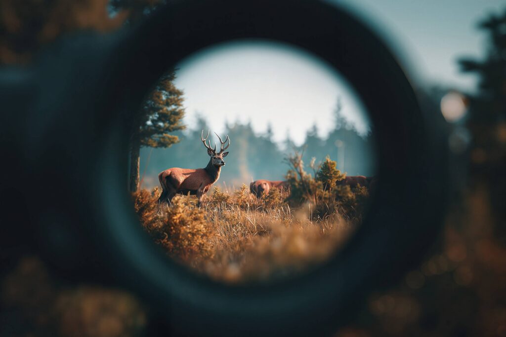 Les meilleures lunettes d’approche disponibles en France en 2025