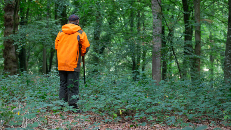 Chasseur tué par un sanglier dans le Var : ce que l’on sait du drame